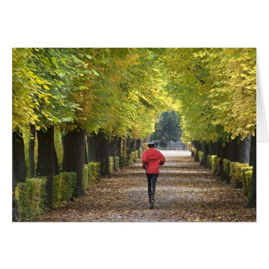 Jogger (Vorderseite (Horizontal))