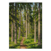 Johan Krouthén Solbelyst skogsstig CC0446 (Vorne)