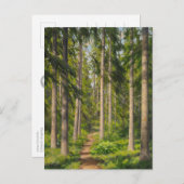 Johan Krouthén Solbelyst skogsstig CC0461 Postcard Postkarte (Vorne/Hinten)