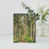 Johan Krouthén Solbelyst skogsstig CC0461 Postcard Postkarte (Stehend Vorderseite)