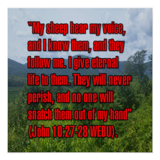 Johannes 10:27-28 WEBU Poster (Vorderseite)