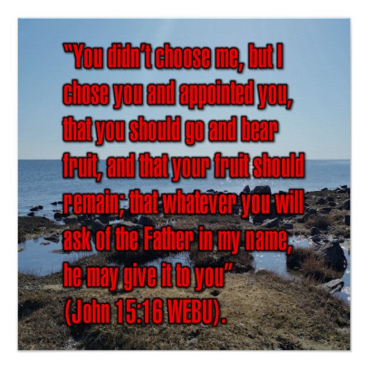Johannes 15:16 WEBU Poster (Vorderseite)