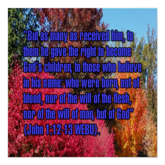 Johannes 1:12-13 WEBU Poster (Vorderseite)