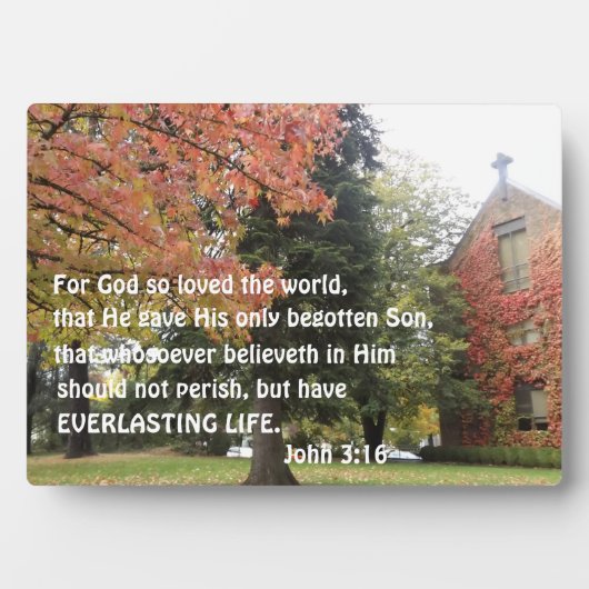 Johannes 3:16 Denn so liebte Gott die Welt Fotoplatte (Vorderseite)