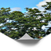 Johannes 3:36 Wer an den Sohn glaubt... Poster (Ecke)