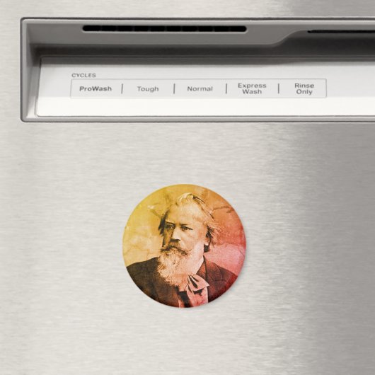 Johannes Brahms (1889) Magnet (In Situ (Geschirrspüler))