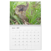 Johannes, USVI Kalender (Mär 2027)