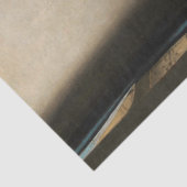 Johannes Vermeer - Junge Frau mit Lute Seidenpapier (Detail)