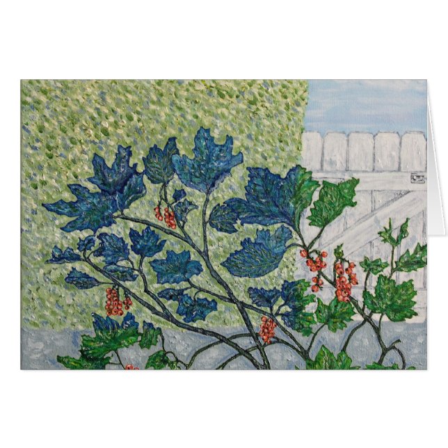 Johannisbeere-Beeren (Vorderseite (Horizontal))