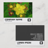 Johanniskraut Visitenkarte (Vorne/Hinten)