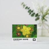 Johanniskraut Visitenkarte (Stehend Vorderseite)