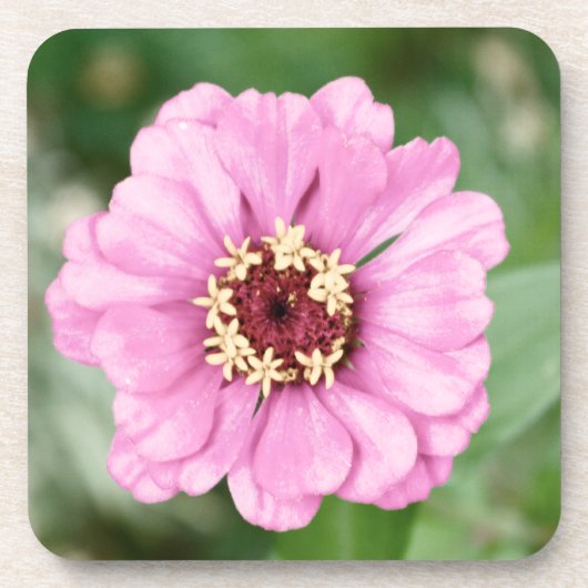 Johann's Beauty Cork Untersetzer (Vorderseite)