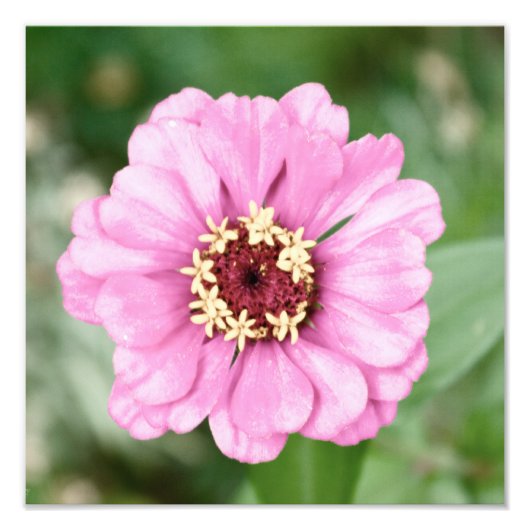 Johann's Beauty Foto (Vorne)