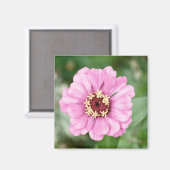 Johann's Beauty Magnet (Vorderseite/Rückseite)