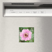 Johann's Beauty Magnet (In Situ (Geschirrspüler))