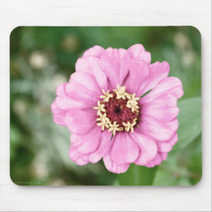 Johann's Beauty Mousepad