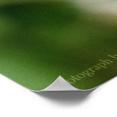 Johann's Beauty Poster (Ecke)