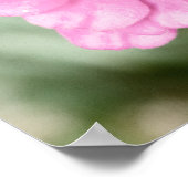 Johann's Beauty Poster (Ecke)