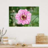 Johann's Beauty Poster (Küche)