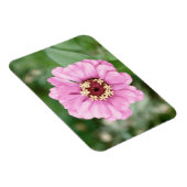 Johann's Beauty Premium Magnet (Rechte Seite)