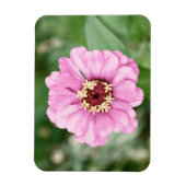 Johann's Beauty Premium Magnet (Vertikal)