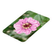Johann's Beauty Premium Magnet (Linke Seite)