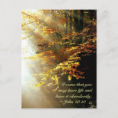 John 10 10 Ich kam, dass du Leben reichlich hast Postkarte (Vorderseite)