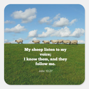 John 10:27, Drehbuchverse Quadratischer Aufkleber