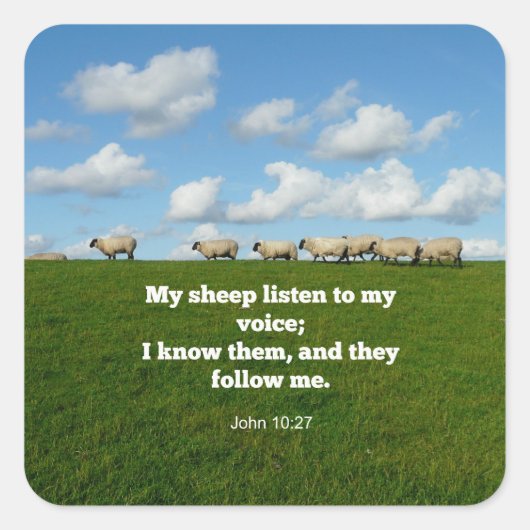 John 10:27, Drehbuchverse Quadratischer Aufkleber (Vorderseite)