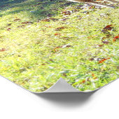 John 10:27 poster (Ecke)