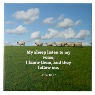 John 10:27, Vers der Schrift, Fliese