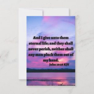 John 10:28 KJV Bible Verse Pic Flat Grußkarte Karte