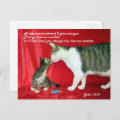 John 13:34 Bible Verse Postcard Postkarte (Vorne/Hinten)