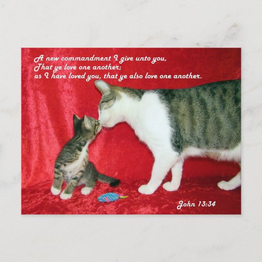John 13:34 Bible Verse Postcard Postkarte (Vorderseite)
