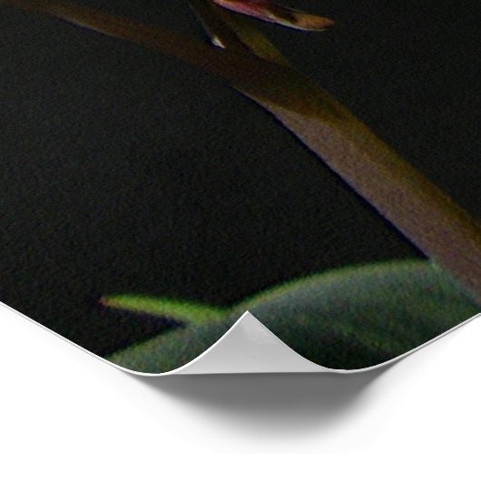 John 13:35 - Liebe für einander Poster (Ecke)