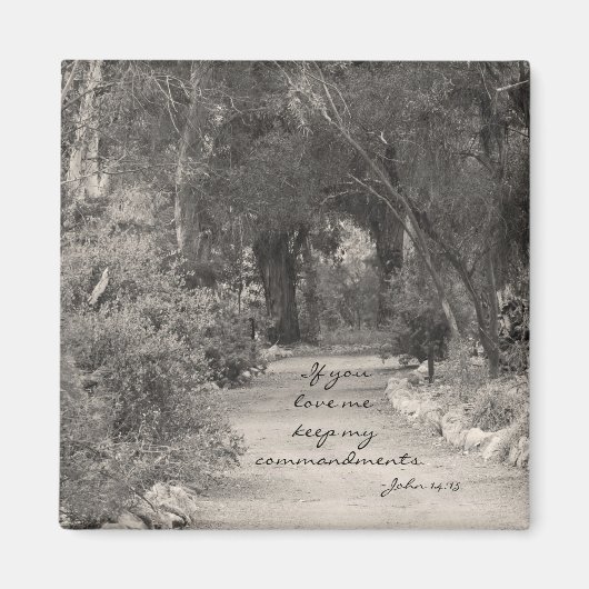 John 14:15 path Foto Magnet (Vorne)