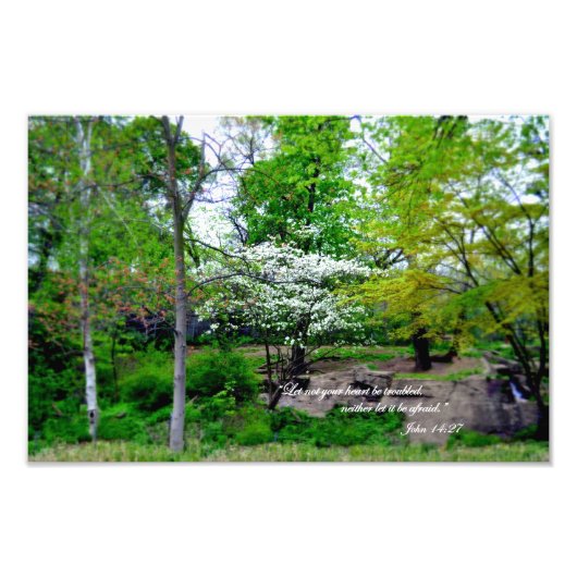John 14:27 Ließ nicht, dass dein Herz beunruhigt s Fotodruck (Vorne)