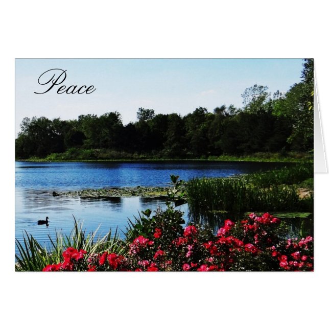John 14:27 Peace Card (Vorderseite (Horizontal))