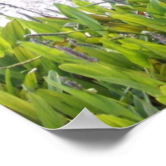 John 14:6 poster (Ecke)