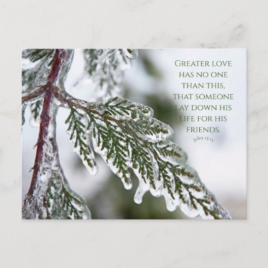John 15:13 Icy Evergreen Postcard Postkarte (Vorderseite)