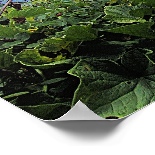 John 15:27 Friede verließ ich mit dir, mein Friede Poster (Ecke)