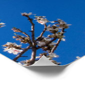 John 15:4-5 Abide Poster (Ecke)