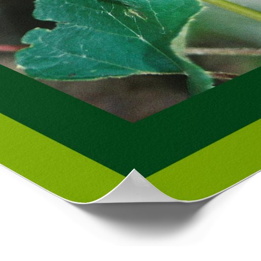 John 15: 4, 5 Schrift Poster (Ecke)