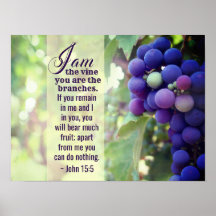 John 15:5 I Am the Vine You are the Zweig Bibel