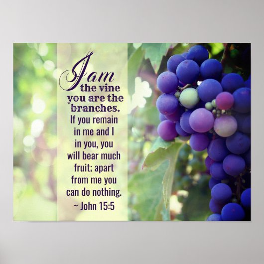 John 15:5 I Am the Vine You are the Zweig Bibel Poster (Vorne)