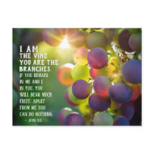 John 15:5 Ich bin der Wein Du bist die Zweige Jesu