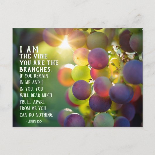John 15:5 Ich bin der Wein Du bist die Zweige Jesu Postkarte (Vorderseite)