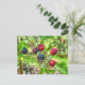 John 15:5 postkarte (Stehend Vorderseite)