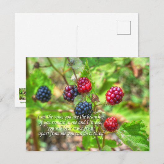 John 15:5 postkarte (Vorne/Hinten)