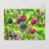 John 15:5 postkarte (Vorderseite)